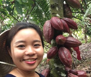 Cacao Việt Nam – Nguyên liệu quý giá cho sản xuất chocolate cao cấp
