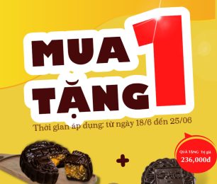 Khuyến mãi “MUA 1 TẶNG 1” niềm vui nhân đôi, niềm tin gấp bội