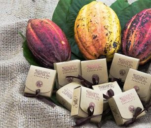 Thương hiệu Socola thanh uy tín – Món quà sức khỏe cho gia đình